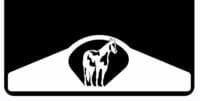 Paint Horse on Mud Flap