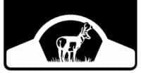 Antelope