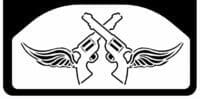 Crossed Guns with Wings