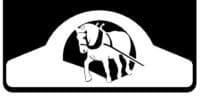 Draft Horse