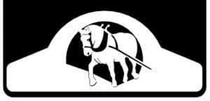 Draft Horse