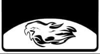 Flamein Eagle Custom Weight