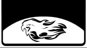 Flamein Eagle Custom Weight