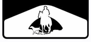 Horse Rider
