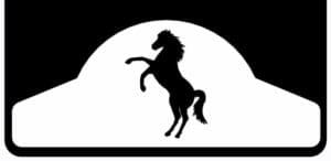 Rearing Horse on Mud flap by DuraFlap