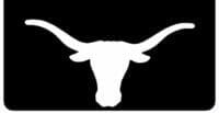 Steer Head on Mud Flap