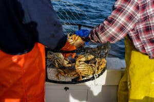 Crabbing in Oregon