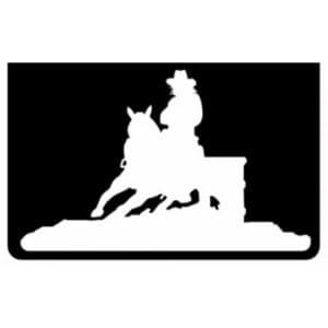 Barrel Racer