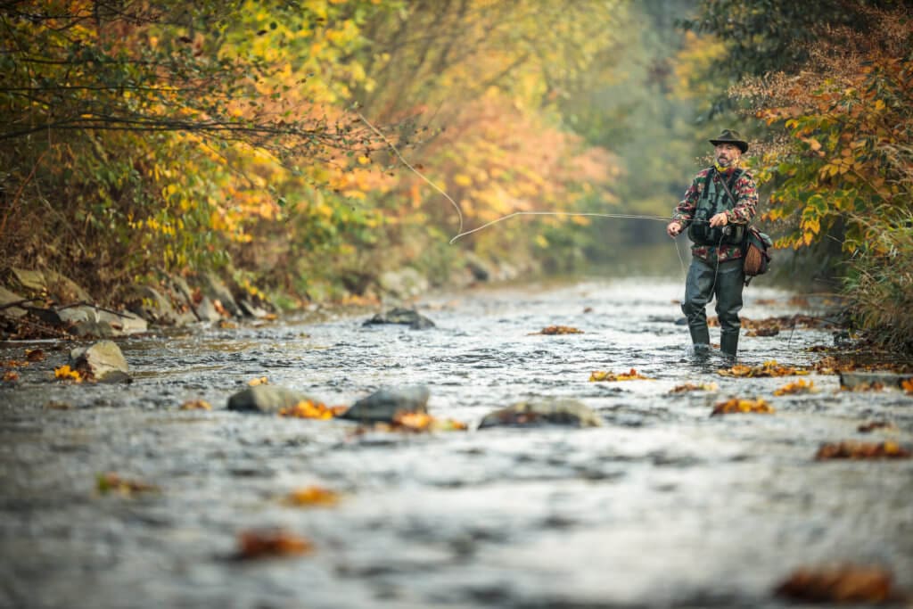 Techniques for Fly Fishing in the Fall