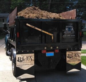 Richard Anthony custom Dump Truck