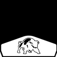 Bison