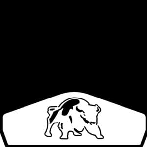 Bison