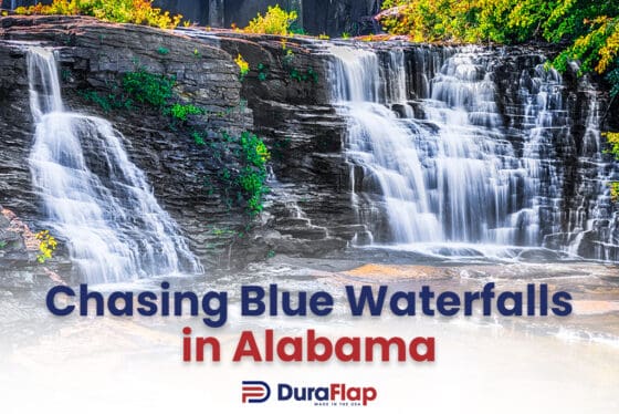 Chasing Blue Waterfalls in Alabama