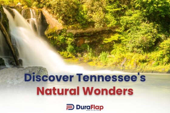 Discover Tennessee’s Natural Wonders with an RV Road Trip